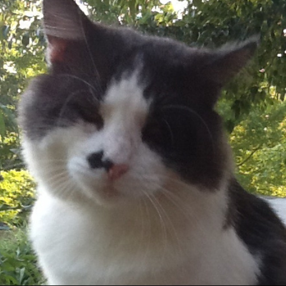 Meet your Posher, Penny jo